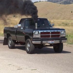 Meet your Posher, Austin